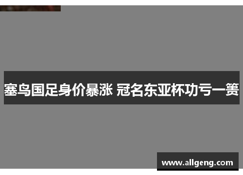 塞鸟国足身价暴涨 冠名东亚杯功亏一篑